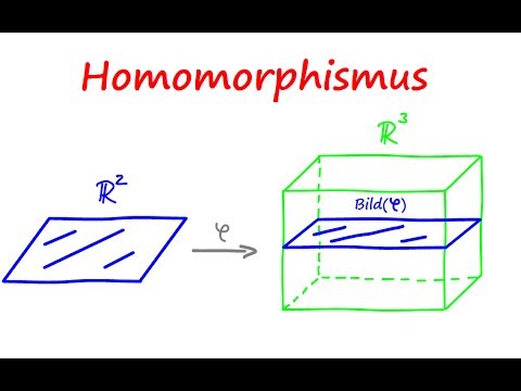 LINEAR MAPPING / Homomorphism explained simply! | Math Intuition