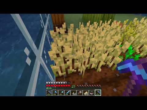 Waifu Simulator 27 - Minecraft: Does Fortune enchant work on Wheat when harvesting it ?