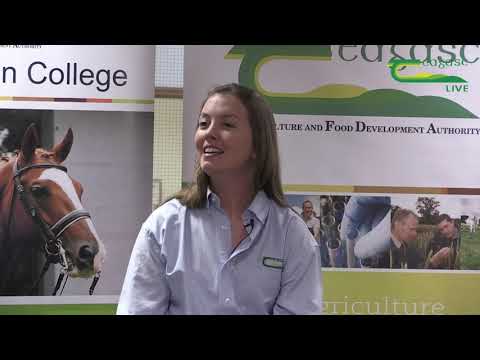 Teagasc Kildalton College  - Equine Virtual College Open Day