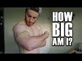 How Big Are My Arms?? (Taking my Measurements)