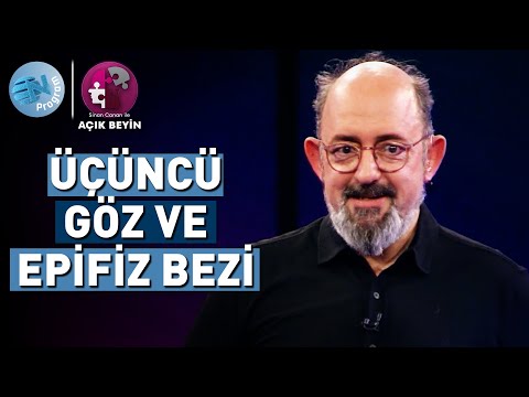 The Link Between Spirit and Life "Pineal Gland" @ProfDrSinanCananileAcikBeyin