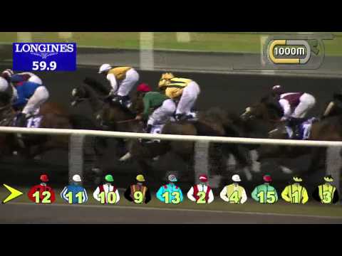 21.11.2013 Meydan (Dubai-UAE) 1.Race DUBAL Trophy - Maiden 1.900 m