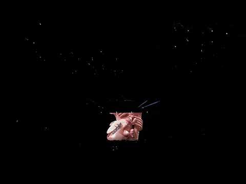 Detox Unit @ Spirit of the Suwannee Music Park 05-05-24