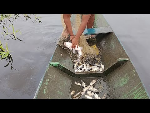 Santa Joana Vitória do Mearim Maranhão 