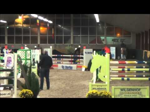 STAL DEFRAINE - VIGO D'ARSOUILLES X PILOT - 6 YEARS