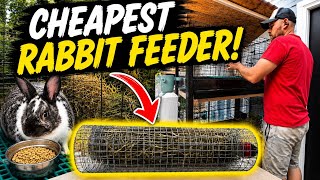 We Built the CHEAPEST Rabbit Feeder for Our Beginner Rabbitry! 🐇 DIY Homestead Project