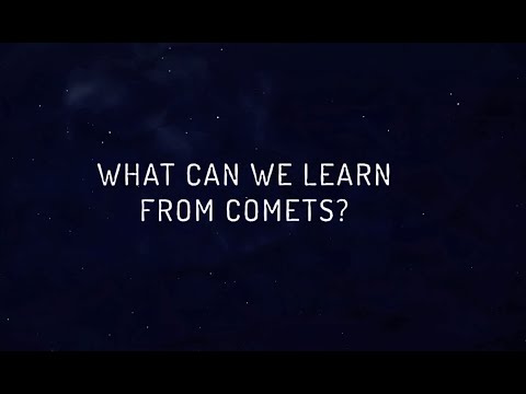 The Rosetta Mission Asks: What Can We Learn from Comets?