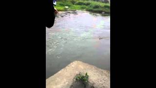 Download lagu Cewek Cantik Mancing ikan mujaer di Taiwan mp3