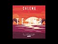 Calema - Te Amo (DJ Youcef Remix) | Kizomba 2022