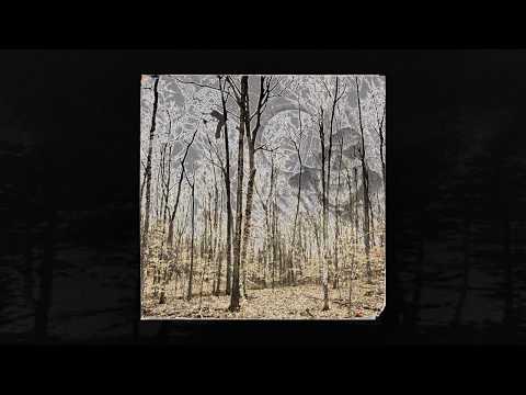 MOECKEL DA CRXXP - I MAY NEVER CHANGE MY WAYS (PROD OG $AMURAI) (MEMPHIS 66.6 EXCLUSIVE)