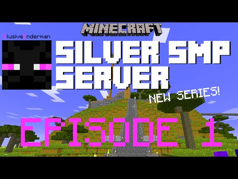 Minecraft Silver SMP Episode One with ElusiveEnderman - World Tour