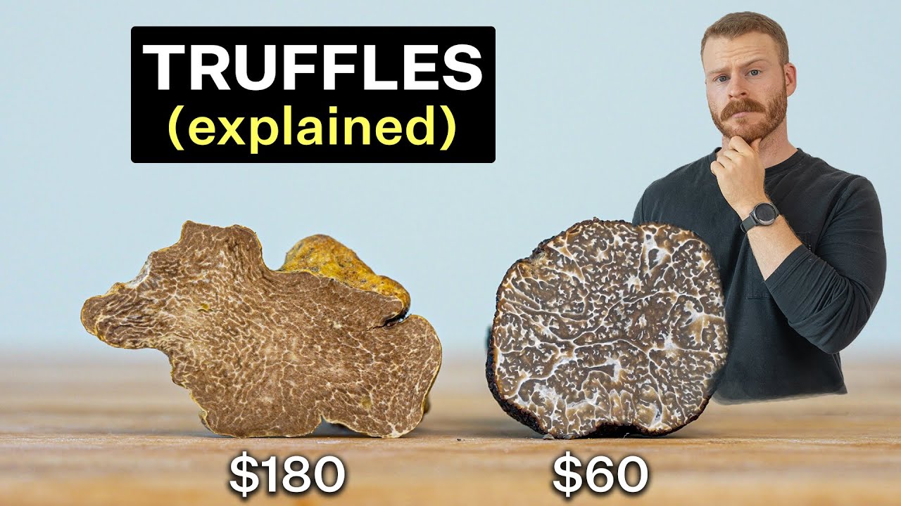 Why are Truffles so expensive? Are they worth it?