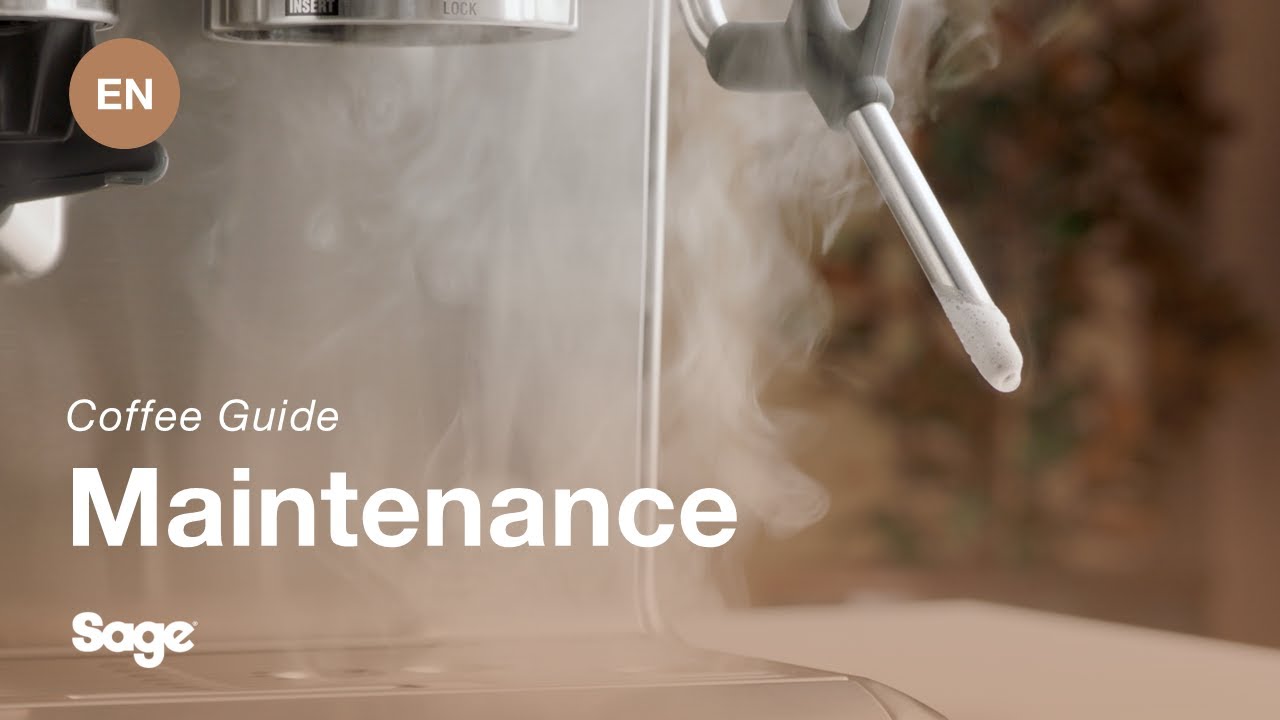 Så här rengör och rensar du ångröret