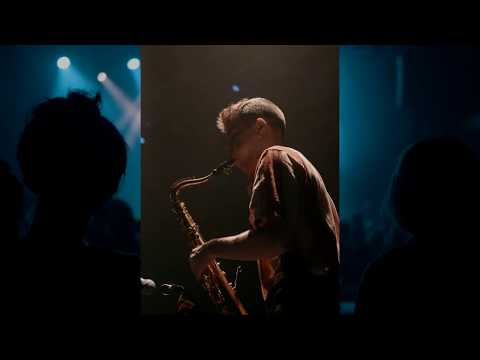 Zerolex Trio | Live Report