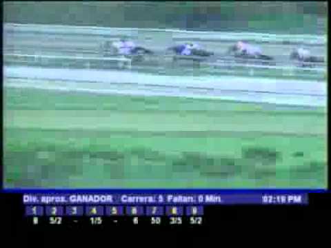 5TA CARRERA DOMINGO 11 DE MARZO LA RINCONADA AUDIOHIPISMO