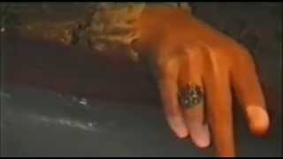 Music video thumbnail preview for XIII. Století - Transylvanian Werewolf [Official Video] HQ by XIII. století