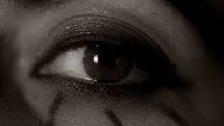 The Zew – “The Collector”