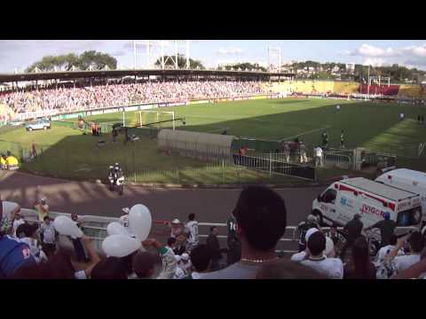 florminense x PALMEIRAS