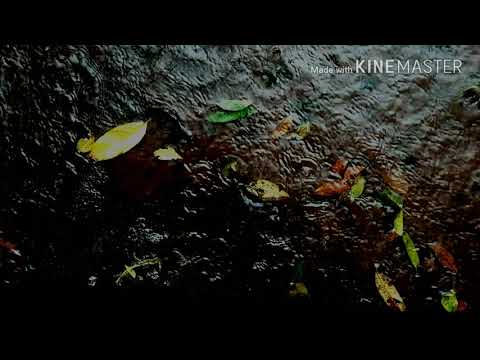 #Rainy memories #ore manva tu toh bavra hai #ranbeer kapoor #konkana sen Sharma