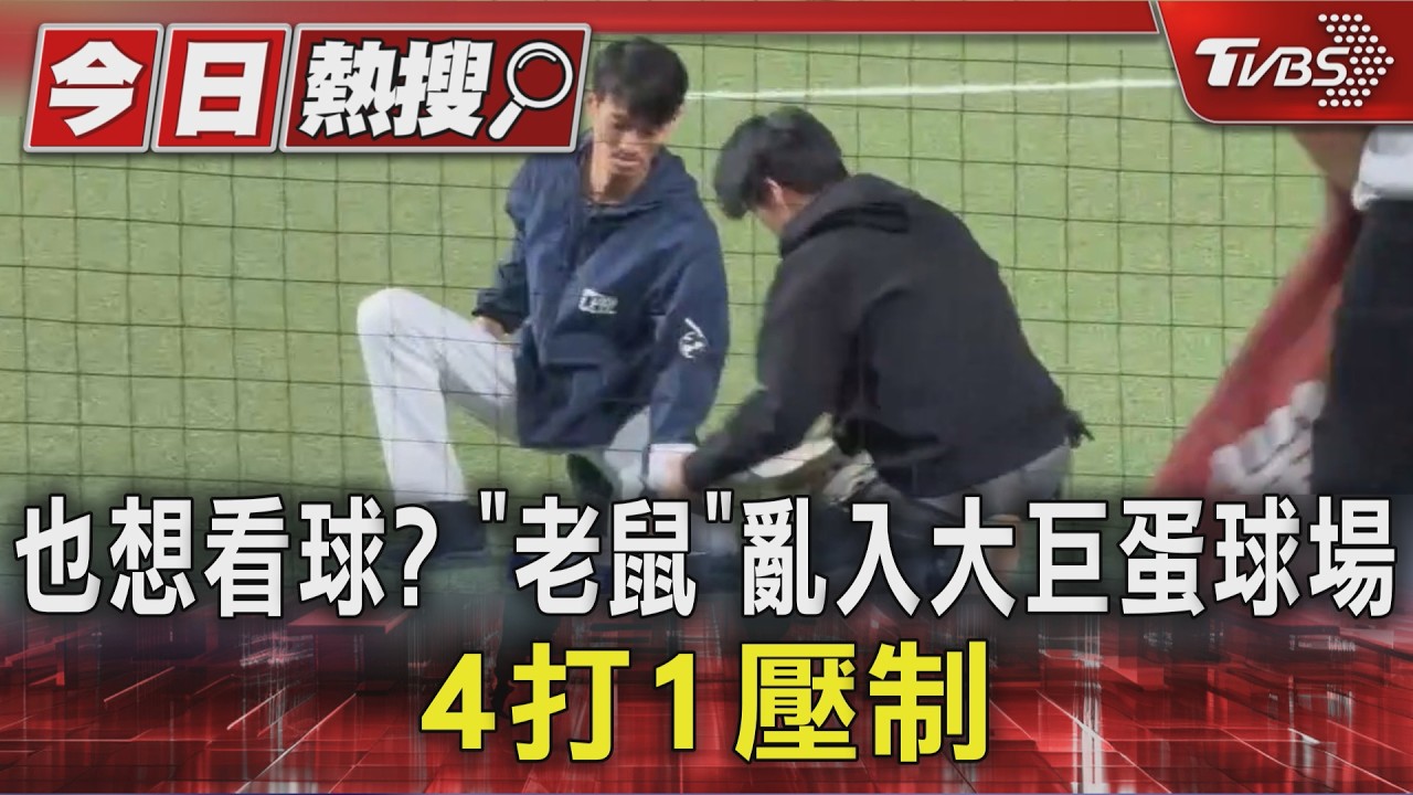 也想看球? 「老鼠」亂入大巨蛋球場 4打1壓制
