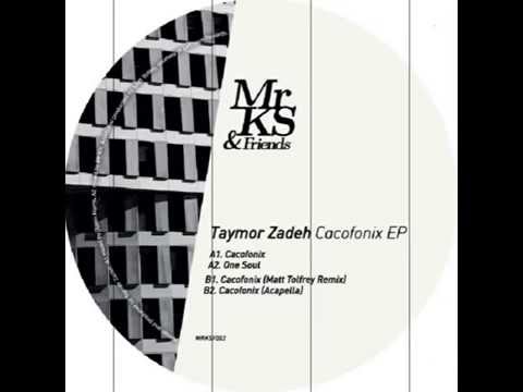 Cacofonix - Taymor Zadeh (Underground Dissident remix)