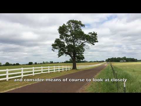 A W Tozer   Choices, Deeds & Consequences