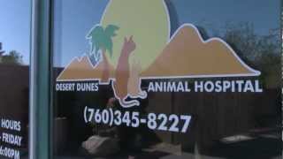 preview picture of video 'Desert Dunes Animal Hospital - Short | Bermuda Dunes, CA'