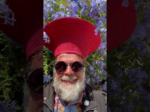 Video thumbnail for Слово Паисия Пчельника (Word from Paisios Apiary)