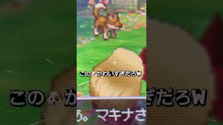 ドラゴンクエスト9 「かわいい」　#かわいい　#kawaii #dragonquest