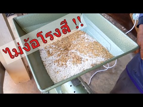 การผ่าตัดเสริมเต้านม ผู้หญิงที่มีหน้าอกเล็กและหีขนาดเล็ก