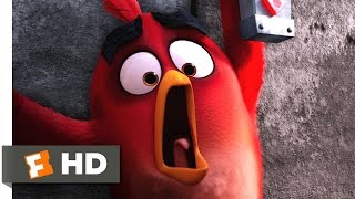 Angry Birds - Save That Egg! Scene (9/10) | Movieclips