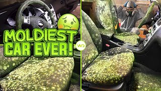 Deep Cleaning the MOLDIEST BIOHAZARD CAR EVER! | Satisfying DISASTER Car Detailing Transformation