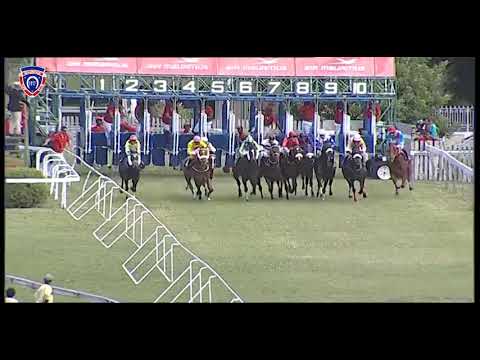 RM11 R2 | Uncle JB | B.Reis