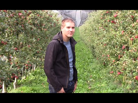 Sadjarska kmetija Uhan / Fruit  farm Uhan