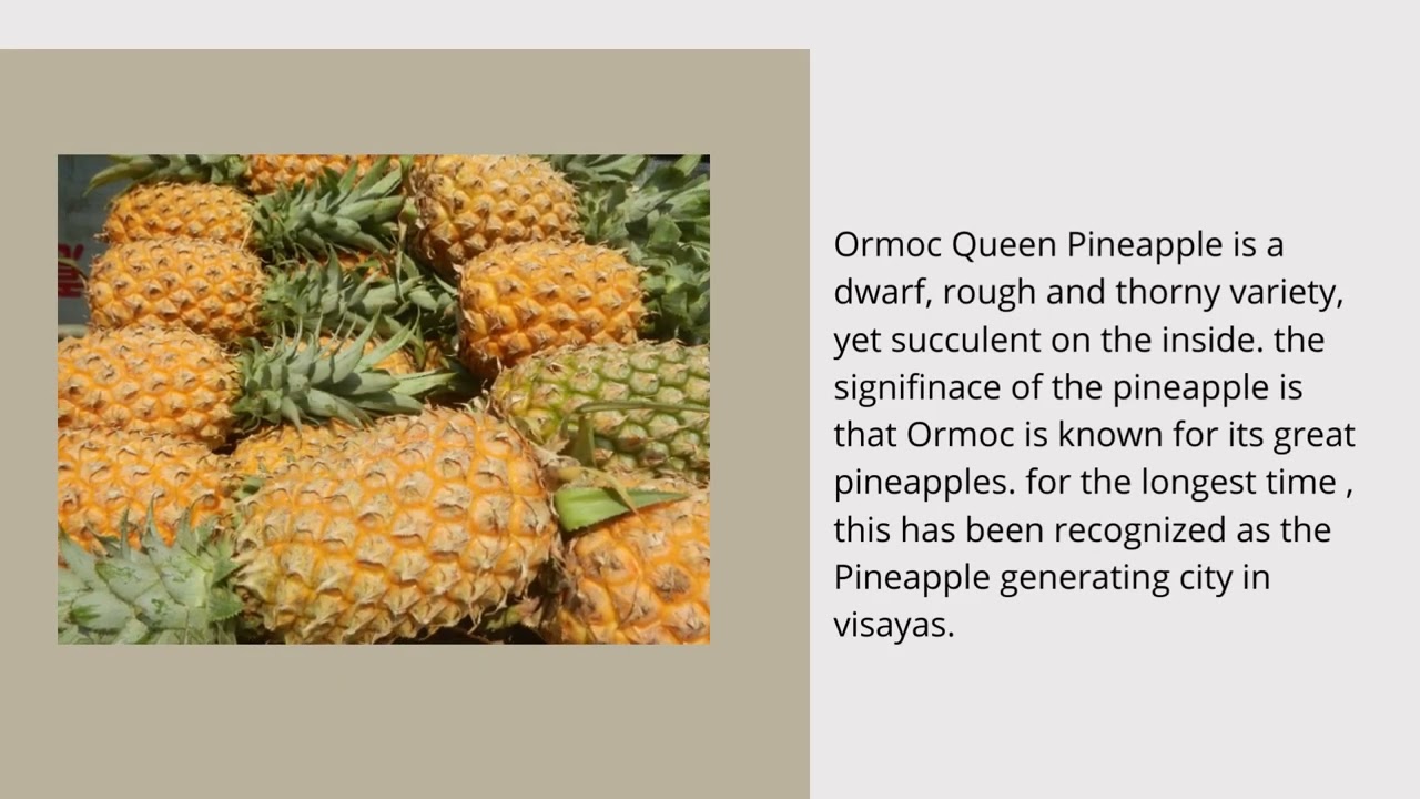 Top 5 Ormoc Delicacies