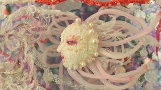 アネモネ/anemone