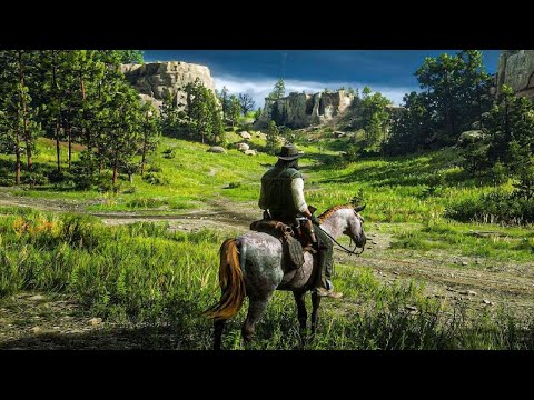 Red Dead Redemption 2 - LET'S PLAY N°2 #2