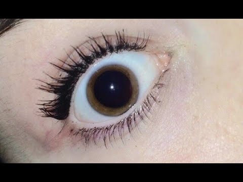 50% Of The Dreamteam-The Thundertheme VS DJ Barbero - Sacrefice