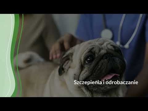 Piotr Kruszewski Gabinet weterynaryjny - video