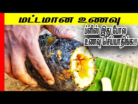 Please Do Not Try This Dish at Home or Anywhere|Tiffin Carrier Video