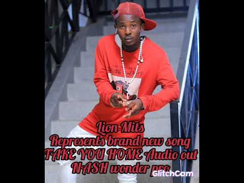 Lion Mits -Take You Home  ( official audio) Ugandan latest music HD