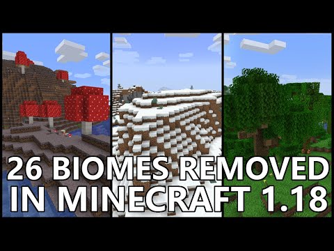 RajCraft - 26 BIOMES Removed In MINECRAFT 1.18
