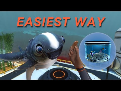Easiest way to find the alien containment bp and a cudlle fish egg in subnautica