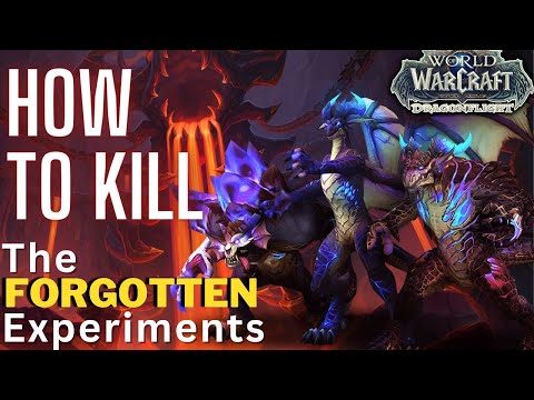 The Forgotten Experiments Heroic Boss Guide | Aberrus the Shadow Crucible