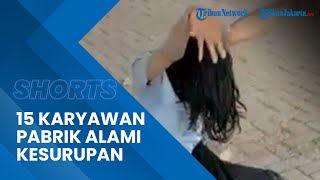 Sejumlah 15 Karyawan di Sebuah Pabrik Garmen Alami Kesurupan Massal: Berceloteh Tidak Jelas