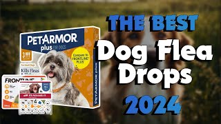 The Top 5 Best Flea And Tick Treatment For Dogs in 2024 - Mu