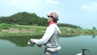 Bent minnow 106