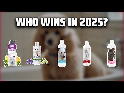Best Shampoo For Poodles