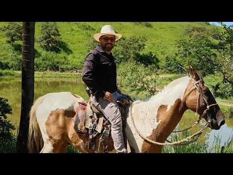 🌿🌾OPORTUNIDADE! 261 HECTARES EM ITAIPÉ MG – REGIÃO DE CAFÉ ARÁBICA ☕🌱