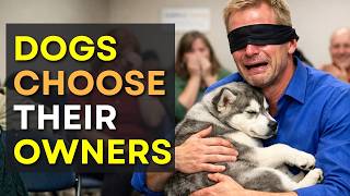 Dogs Pick Their People and It's Absolutely Heartwarming